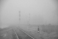 Trains in fog-6.jpg