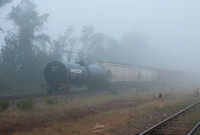 Trains in fog-17.jpg