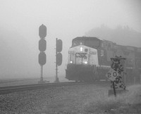 Trains in fog-18.jpg