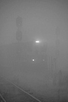 Trains in fog-9.jpg