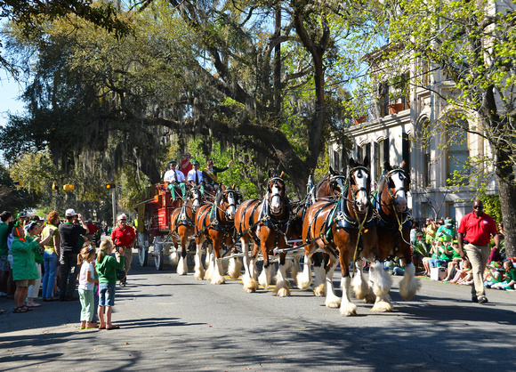 St. Patrick's Celebration Savannah-296