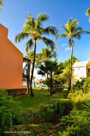 Aruba 2014-16