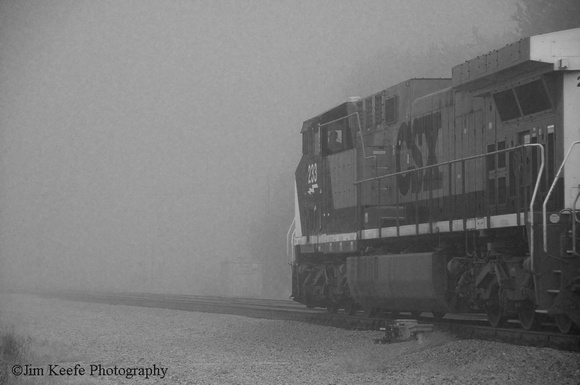 Trains in fog-25.jpg